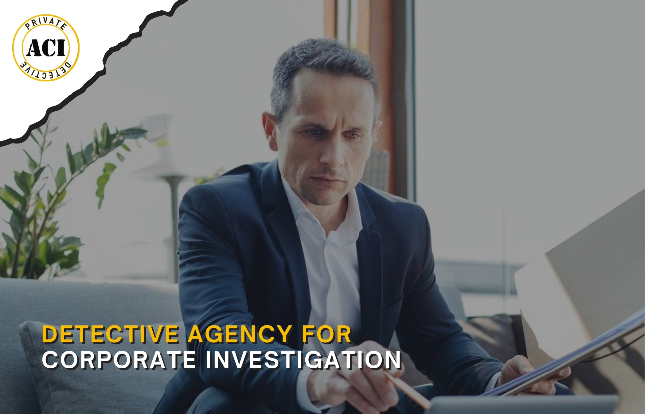Detective Agency for Corporate Investigation